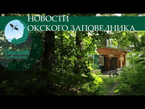 Видео: Новости с Марией Панковой от 31 мая 2024 г.