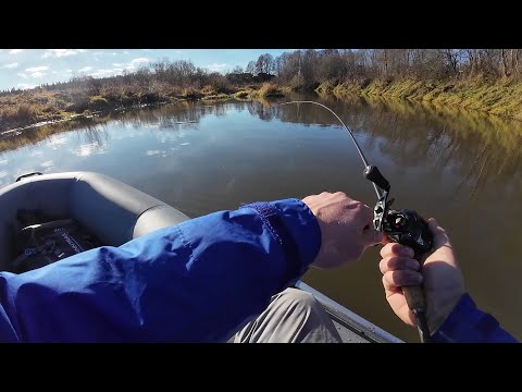 Видео: День шнурка в мутной воде