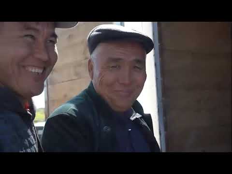 Видео: Баймұрат баба 2024