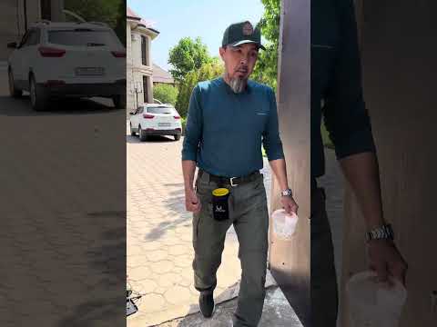 Видео: Щенок. Азы воспитания.