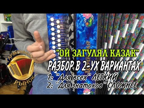 Видео: "Ой загулял казак" супер разбор на гармони в двух вариантах! #купитьгармонь #разборнагармони