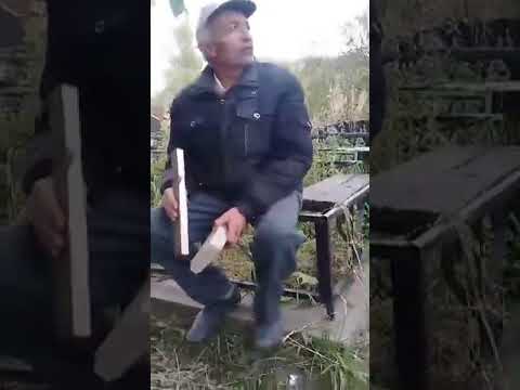 Видео: девонаи Обигарм