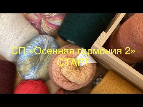 Видео: СП "Осенняя гармония 2". Старт. #богинипряжи #осенняягармония #вязание 