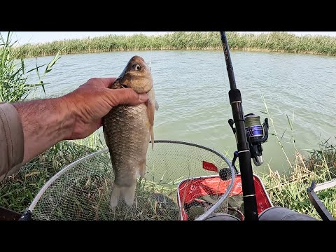 Видео: Рыбалка на реке Маныч