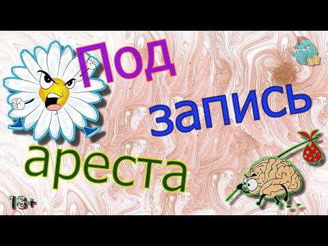 Видео: Под запись ареста /КалоТушка / Коллекторы и звонки / Капли тетушки Фиры / Самая Падшая Тетушка