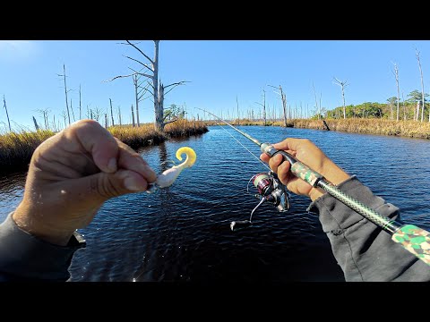 Видео: Маленькая приманка. Большой день(ы).