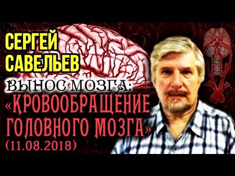 Видео: «ВЫНОС МОЗГА #51»: «Кровообращение головного мозга». 11.08.2018. Савельев С.В.