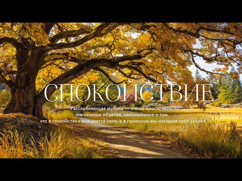 Видео: Музыка Для Души 🍁Красивая расслабляющая музыка 🍁 Осенние мелодии для снятия стресса и исцеления