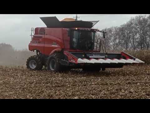 Видео: комбайн CASE 7260 5листопада2025 ЛиповаДолина_жатка MORESIL MR800