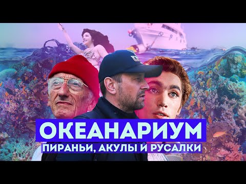 Видео: Влог #104: СОЧИ | Океанариум Sochi Discovery World Aquarium