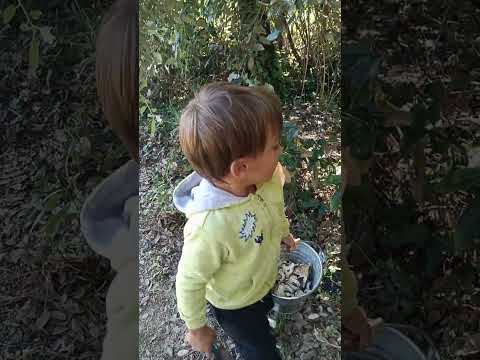Видео: 3,10, 25года Всем добрый день 🥰🇺🇦🇮🇹