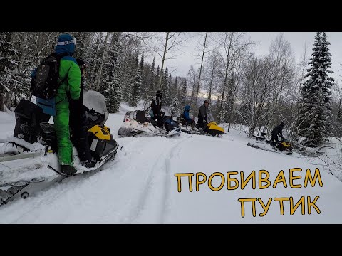 Видео: Пробиваем путик в тайге на пяти снегоходах