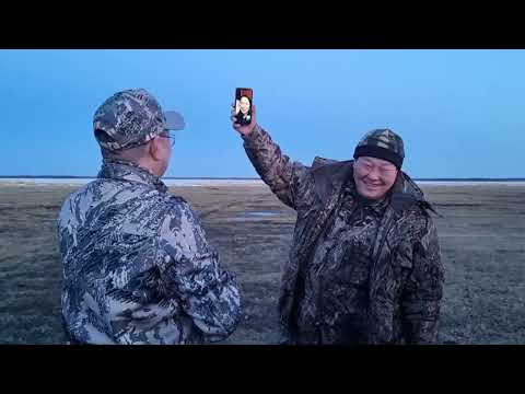 Видео: Төһө да кустамматар дурда олоҕун биллим! Ыам ыйа, 2023. ТЫА СИРИГЭР ОЛОХ ЭМИЭ БААР.