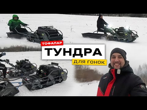 Видео: Мотобуксировщик Тундра. Версия для гонок.  Дорогой карбюратор. #Тофалар #Тундра #покатушки