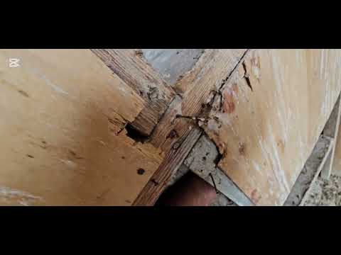 Видео: Детали помогают нам - голубятникам. 070425