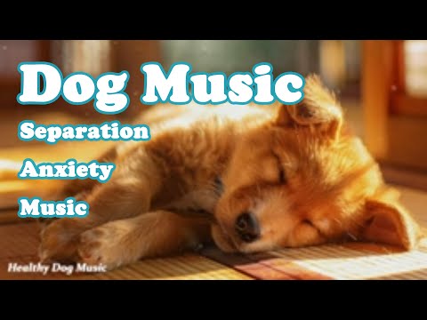 Видео: Музыка для глубокого сна у собак🐶Музыка для снятия тревожности при разлуке с собакой🐶