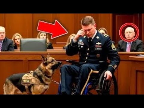 Видео: Завтра его ждала казнь – но K9 собака заговорила, и судья пал на колени!