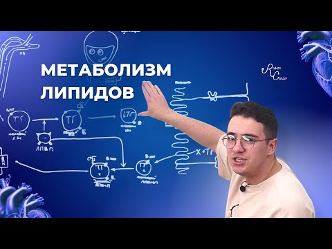 Видео: Метаболизм липидов. Дислипидемии. Препараты.