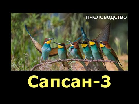 Видео: САПСАН-3 ОТ ЩУРОК / ДЕЙСТВУЕТ ИЛИ НЕТ / ПЧЕЛОЕДКИ ЛЮТУЮТ .