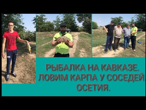 Видео: Рыбалка на Кавказе. Осетия. Фидер или Поплавок? Ловим карпа на пруду)