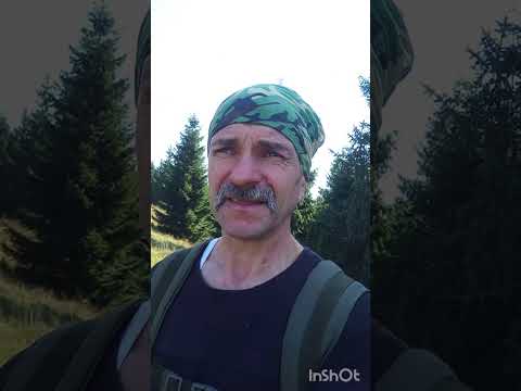 Видео: Так багато грибів перерослих мені ще не попадалось