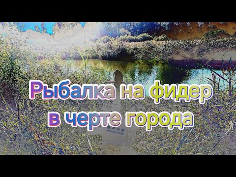 Видео: Рыбалка на фидер в Минске на реке Свислочь. kaida Inspiron 360 90 г