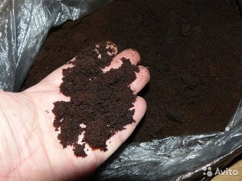 Видео: Кофейный жмых и его использование в огороде.