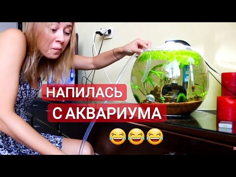 Видео: ПОДМЕНА ВОДЫ В АКВАРИУМЕ || КОРМЛЮ РЫБ || НАПИЛАСЬ ВОДЫ С АКВАРИУМА😅🤣😂