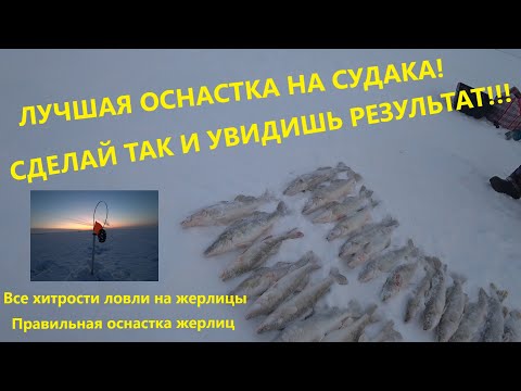 Видео: Рассказываю ВСЕ хитрости ЛОВЛИ СУДАКА. Лови ВСЕГДА и МНОГО! Рыбалка 2023