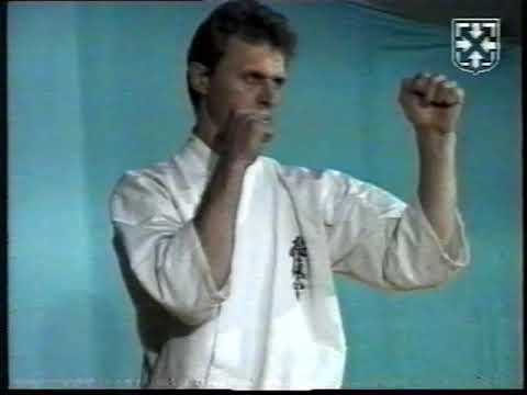 Видео: Техника Кёкусинкай Николаев. Киокусинкай. Каратэ. ИКО
