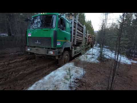 Видео: Лесовоз Маз 6х6, Хардкор начинается