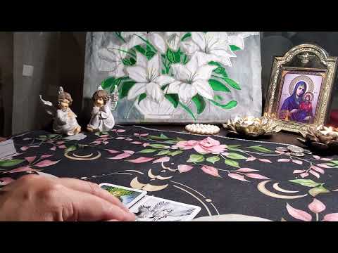 Видео: ПОСЛАНИЕ ОТ КОТИков #оракул#siraya