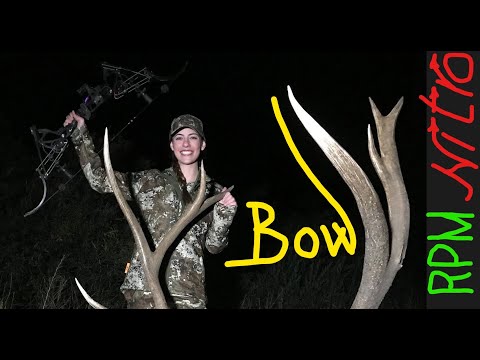 Видео: Striker NITRO RPM Bowfishing - Лучший американский Блочно-рычажный рекурсивный лук JunXing Archery