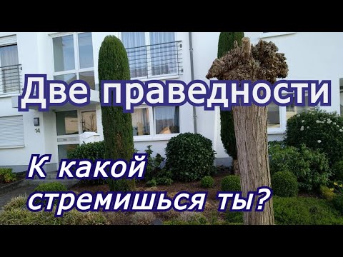 Видео: Две праведности. К какой стремишься ты?