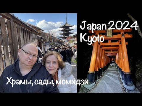 Видео: JAPAN Kyoto ЯПОНИЯ Киото vlog-2 2024