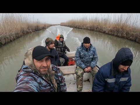 Видео: Рыба проснулась!! Рыбалка на сазана 2023г