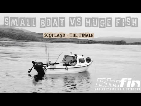 Видео: Самая большая рыба в моей жизни ~ Черноротая собачка ~ Путешествие по Шотландии