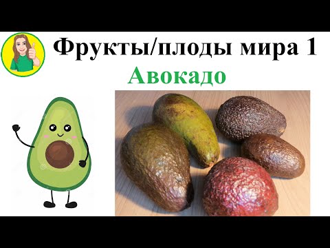 Видео: Фрукты   плоды мира 1 – Авокадо Сыроедение Фрукторианство