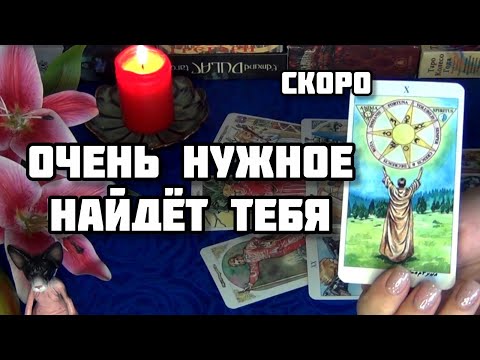 Видео: 💯ЭТО ТО, ЧТО ВЫ ПРОСИЛИ …⚡ОЧЕНЬ НУЖНОЕ НАЙДЕТ ТЕБЯ!!!  🍀🍁Гадание Таро