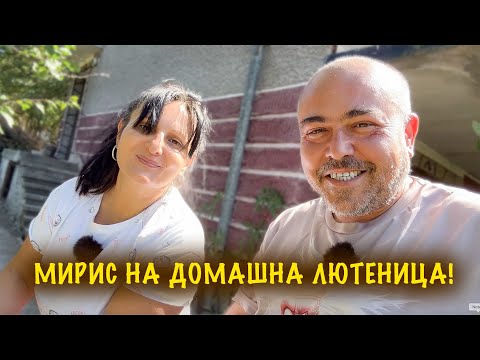 Видео: Обратно в градината! 🍅 Берем домати и варим домашна лютеница.