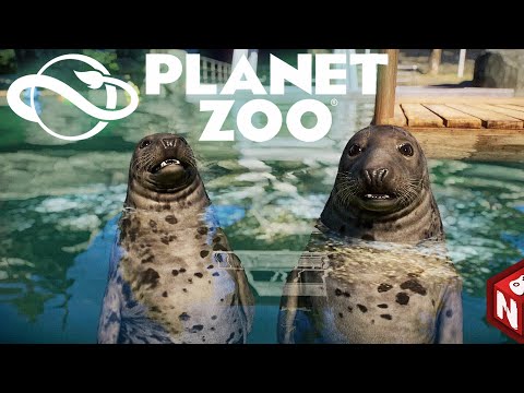 Видео: Planet Zoo: Aquatic Pack - Длинномордые тюлени! #22