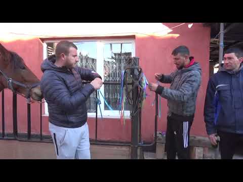 Видео: Тодоров ден кв  факултета
