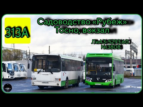Видео: ЛО, Тосно, автобус №313А от садоводства "Рубеж" до ж/д вокзала | ЛиАЗ-5293.60 №3808