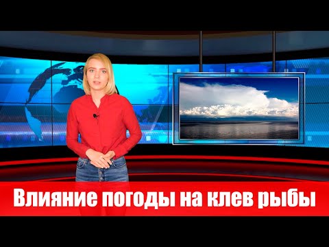 Видео: Как погода влияет на клев рыбы. Факты и суеверия