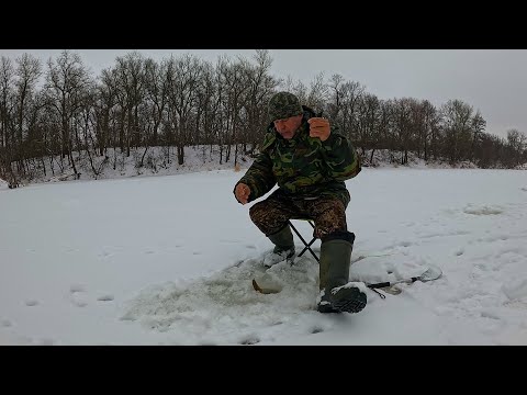 Видео: Рыбалка на речке 8 февраля 2024