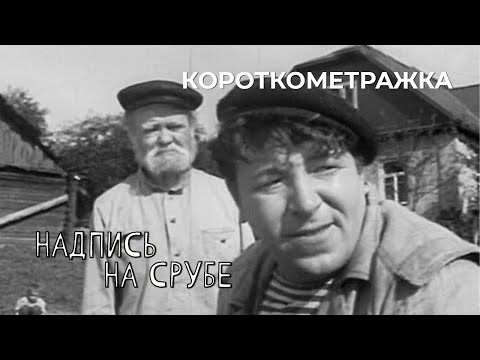 Видео: Надпись на срубе (1968 год) короткометражка