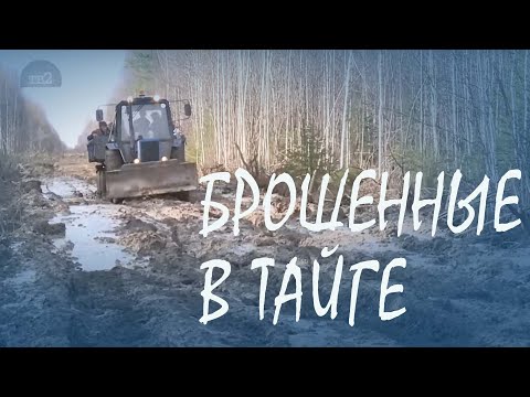 Видео: ОТШЕЛЬНИКИ ПОНЕВОЛЕ | Экспедиция в отрезанную от большой земли деревню #немосква #ГоворитНеМосква
