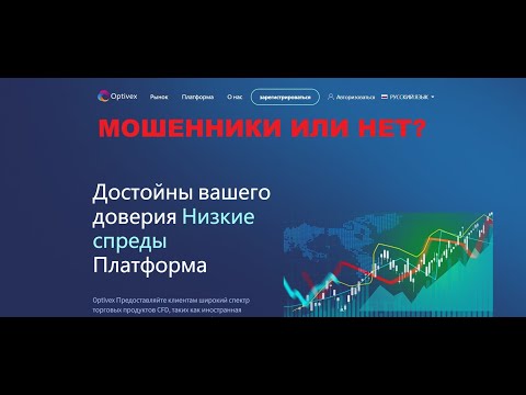 Видео: Optivex — отзывы, стоит ли вкладывать?