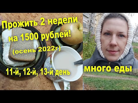 Видео: Прожить 2 недели на 1500 р! Осень 2022! Много готовой еды! Потратила последние деньги!
