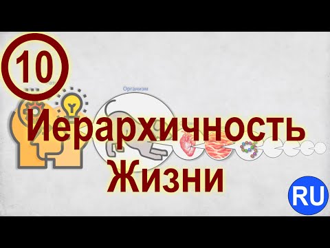 Видео: Видео 10. Механизмы Жизни:  Иерархичность Жизни (Смена Парадигмы Жизни) | RU